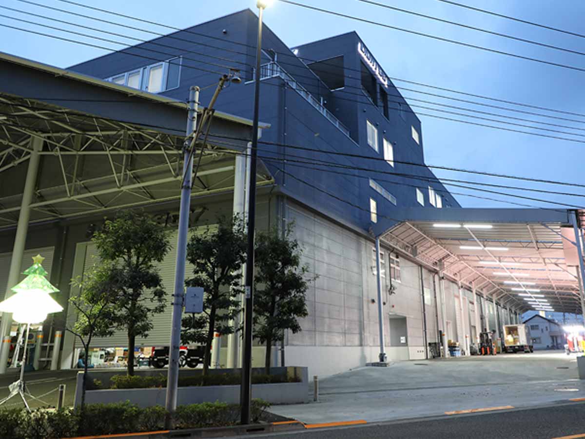 Light Boy Headquater